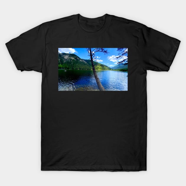 Buena Vista Lake Colorado T-Shirt by Hellbender Creations